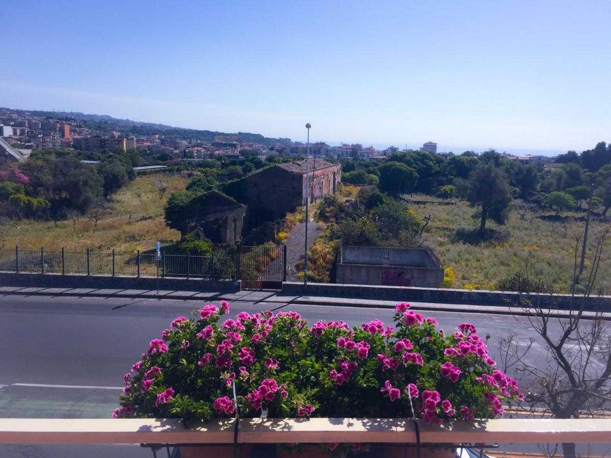 B&B Policlinico Gaspare Rodolico Catania Luaran gambar